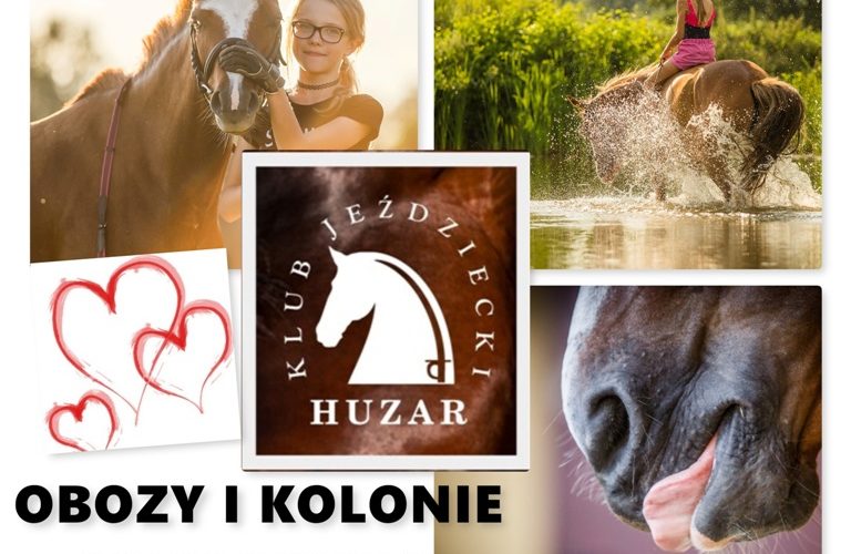 Najlepsze wakacje z końmi w Polsce, najlepszy obóz konny, egzamin na odznaki pzj, kolonie z końmi camp z końmi