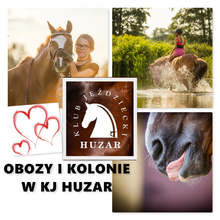 Najlepsze wakacje z końmi w Polsce, najlepszy obóz konny, egzamin na odznaki pzj, kolonie z końmi camp z końmi