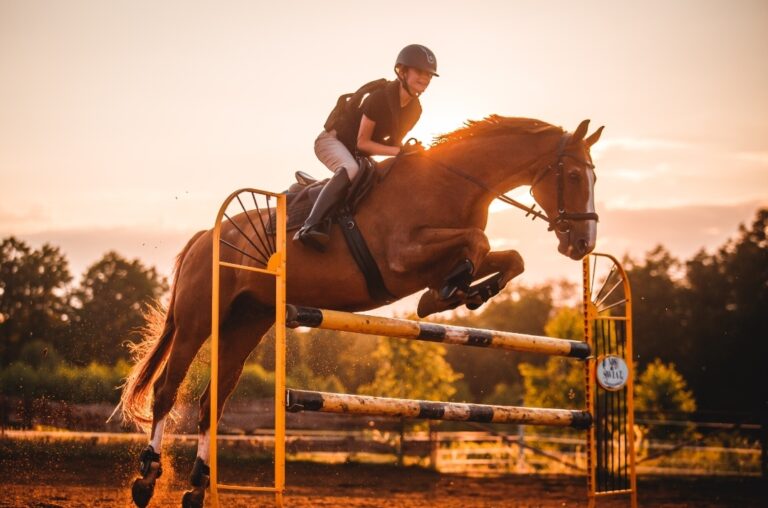 pensjonat Warszawa, Grodzisk, Żyrardów Skierniewice