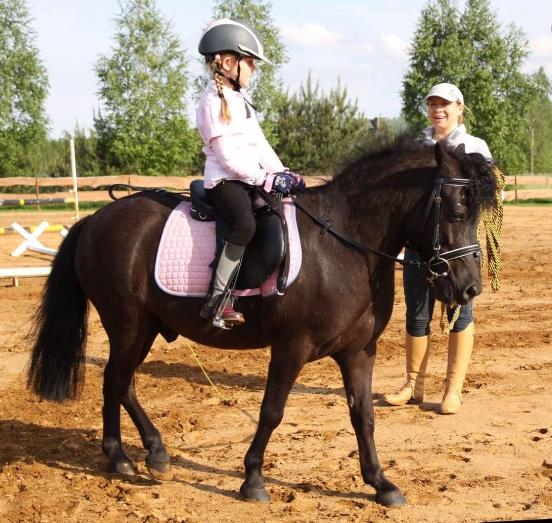 Pierwsza jazda konna – czego się spodziewać i czego nikt naprawdę nie mówi